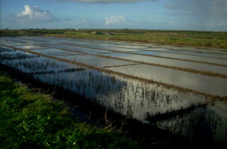 Marais salant re02