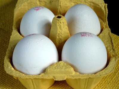 Egg box food chicken eggs
