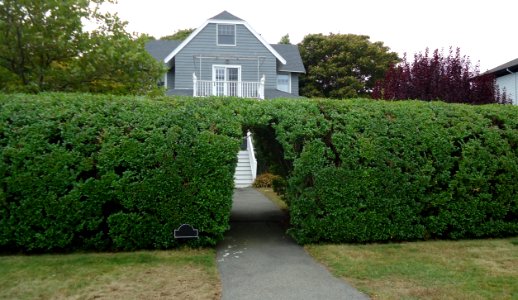 Marblehead Massachusetts house with hedge doorway on peninsula
