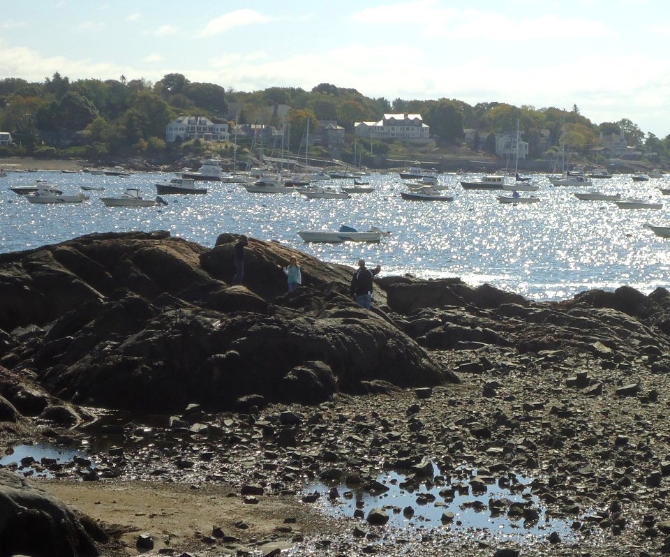 Marblehead Massachusetts view from town towards harbor and peninsula