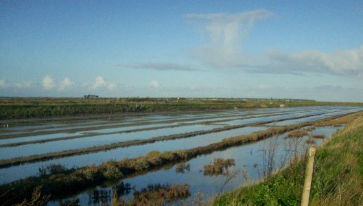 Marais salants re 02