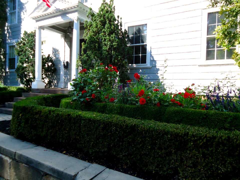 Marblehead Massachusetts house and hedge and flowers