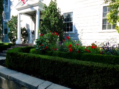Marblehead Massachusetts house and hedge and flowers