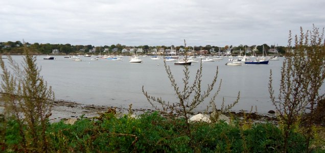 Marblehead Massachusetts harbor boats sky grasses