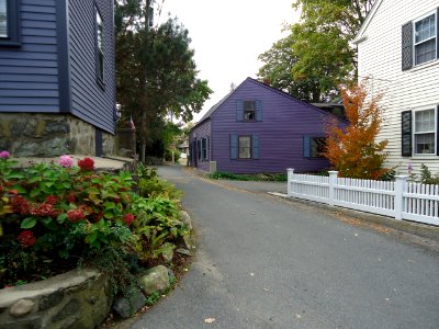 Marblehead Massachusetts purple house and street and flowers