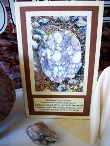 Marbre de la Barousse 21
