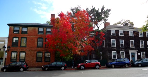 Marblehead Massachusetts with cars and buildings and tree in autumn