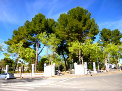Manzanares - Parque del Polígono 09