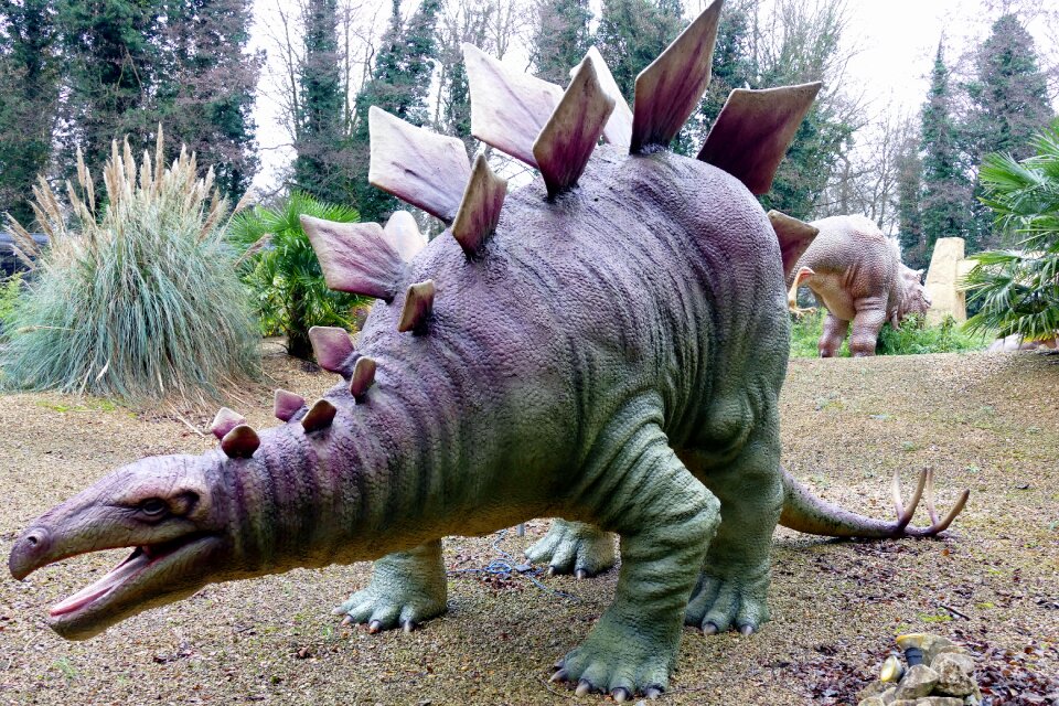 Animal reptile predator