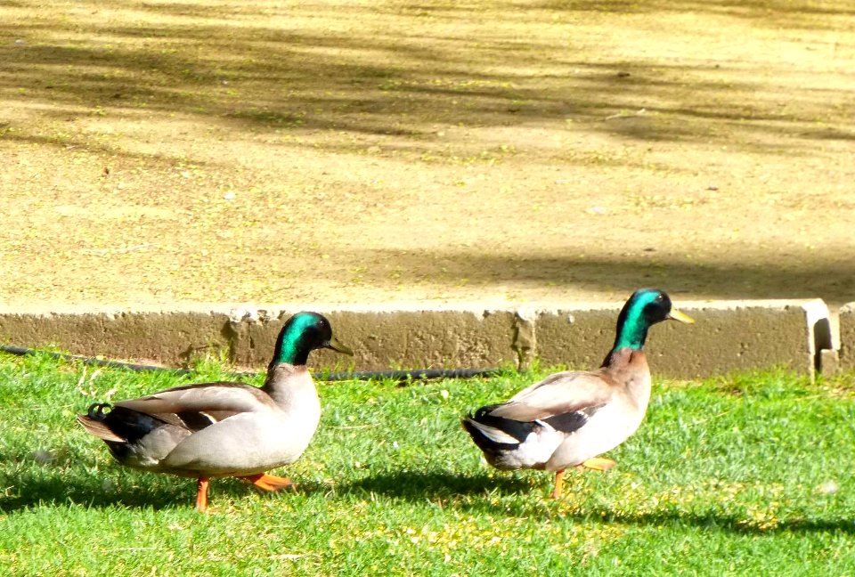 Manzanares - Parque del Polígono 07