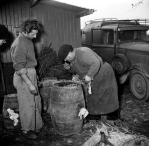 Mannen met een vat met kolen, Bestanddeelnr 252-9481