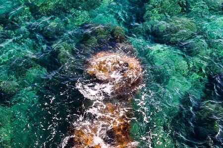 Nature water clear
