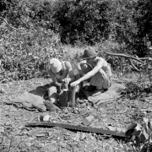 Mannen vermeerderen vruchtbomen in kibboets Kiwath Brenner, Bestanddeelnr 255-0596 photo