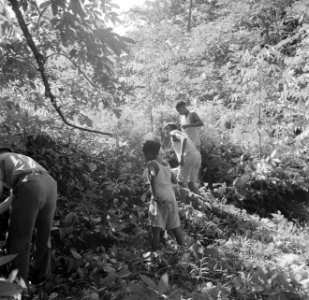 Mannen en jongens op zoek naar graven op het terrein van de voormalige Jodensava, Bestanddeelnr 252-6464