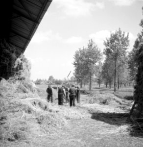 Mannen bezig met het dorsen van hennep, Bestanddeelnr 254-4265