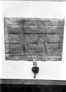 Manuscript (1294158)