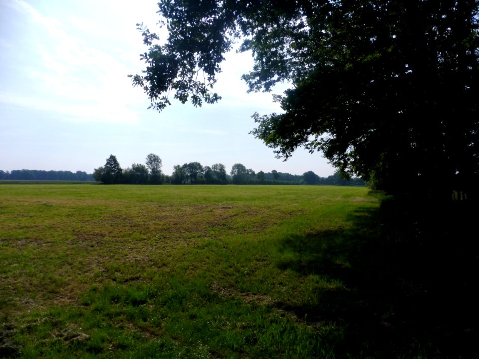 Mantinghausen - Boker Heide - 2