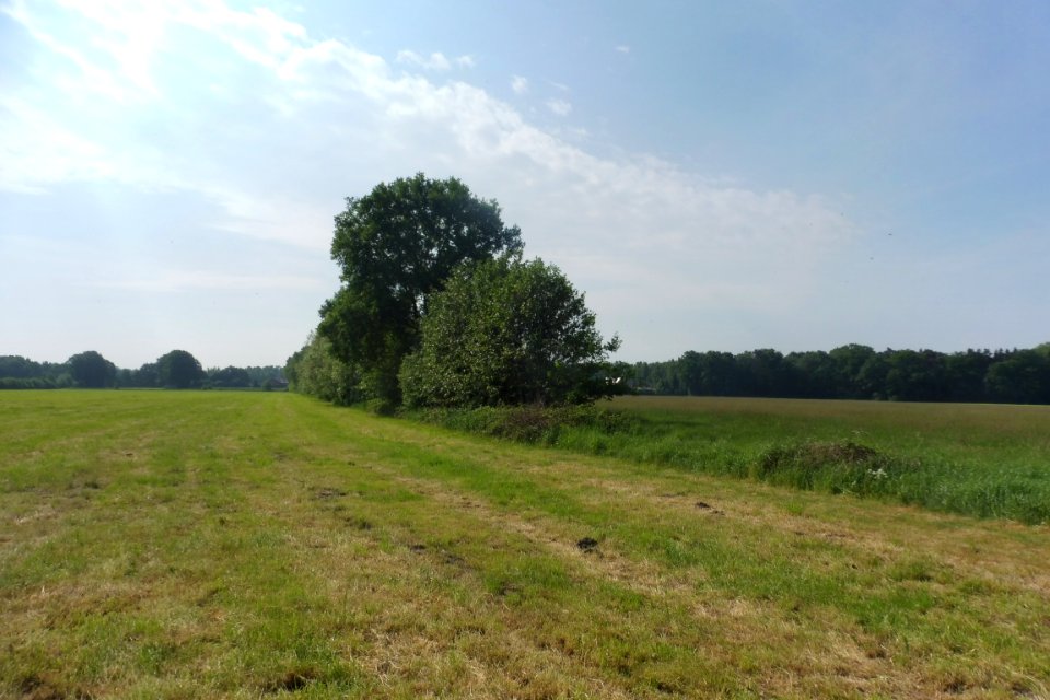 Mantinghausen - Boker Heide - 4