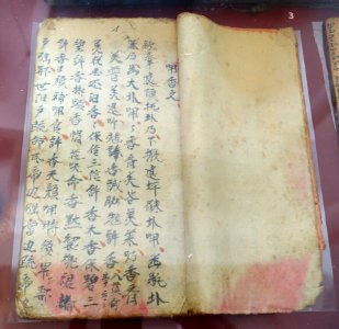 Manuscript, Tay - Vietnam Museum of Ethnology - Hanoi, Vietnam - DSC02800 photo