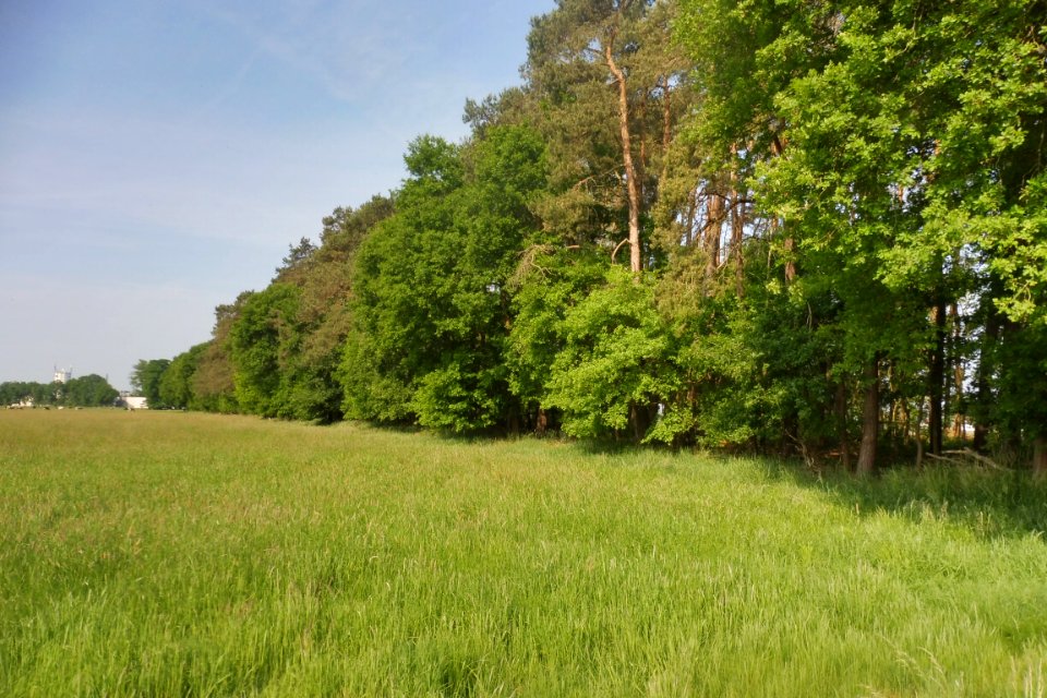 Mantinghausen - Boker Heide - 3