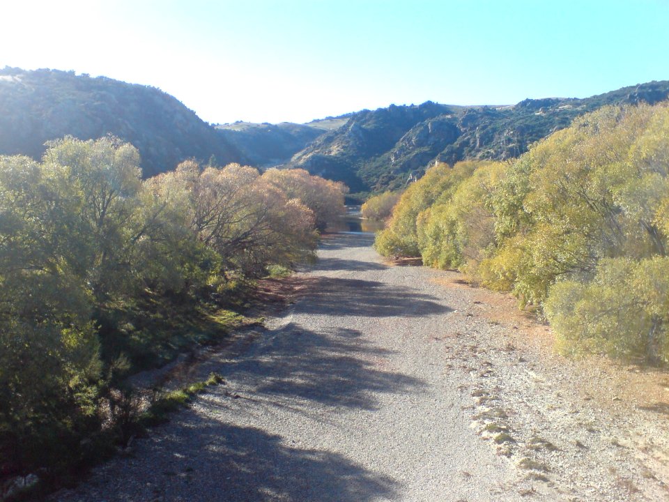 Manuherikia River From NE Of Springvale Rd