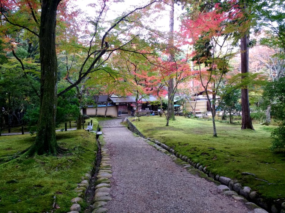 Manyo Botanical Garden, Nara 2