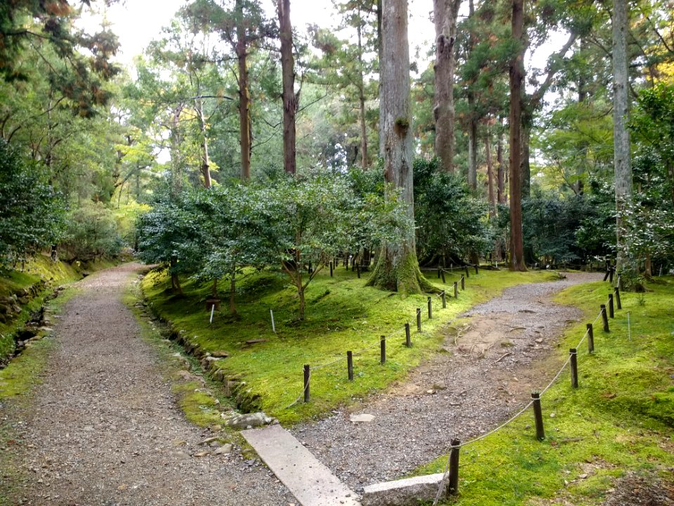 Manyo Botanical Garden, Nara 1