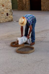 Mètod antic de batre el fesol de l'ull ros (6)