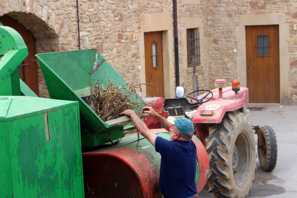 Mètode modern de batre el fesol de l'ull ros (4)