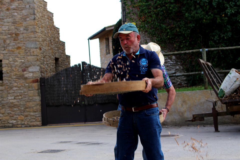 Mètod antic de batre el fesol de l'ull ros (12)