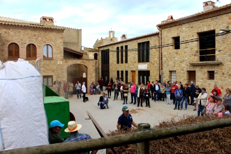 Mètode modern de batre el fesol de l'ull ros (5)