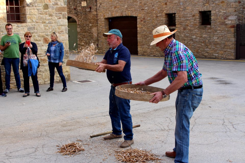 Mètod antic de batre el fesol de l'ull ros (11)