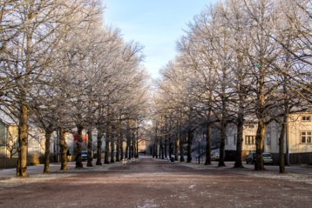 Mäntymäenaukio park in winter