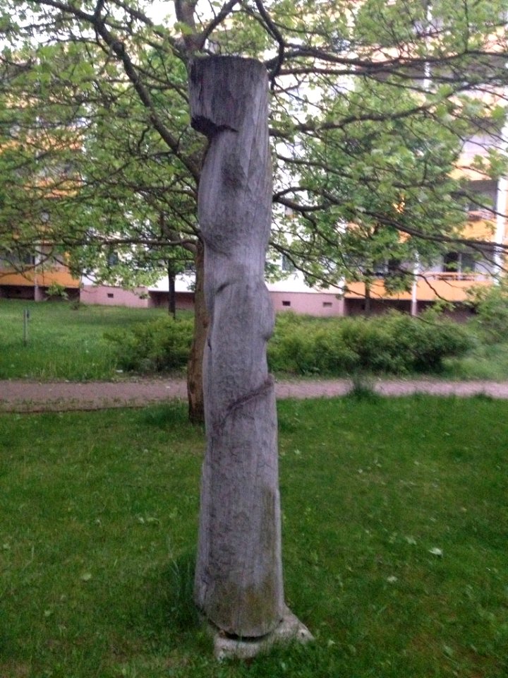 Männlicher Torso Weißwasser Beeskow (2)
