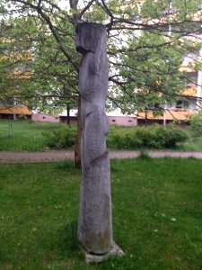Männlicher Torso Weißwasser Beeskow (2)