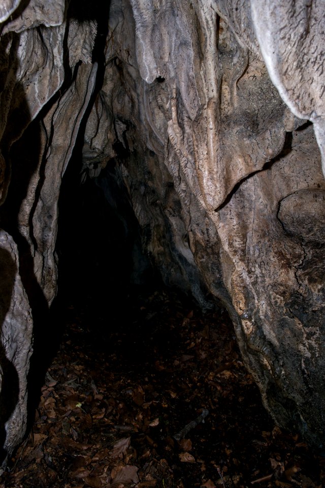 Mäanderhöhle (A 283) 013