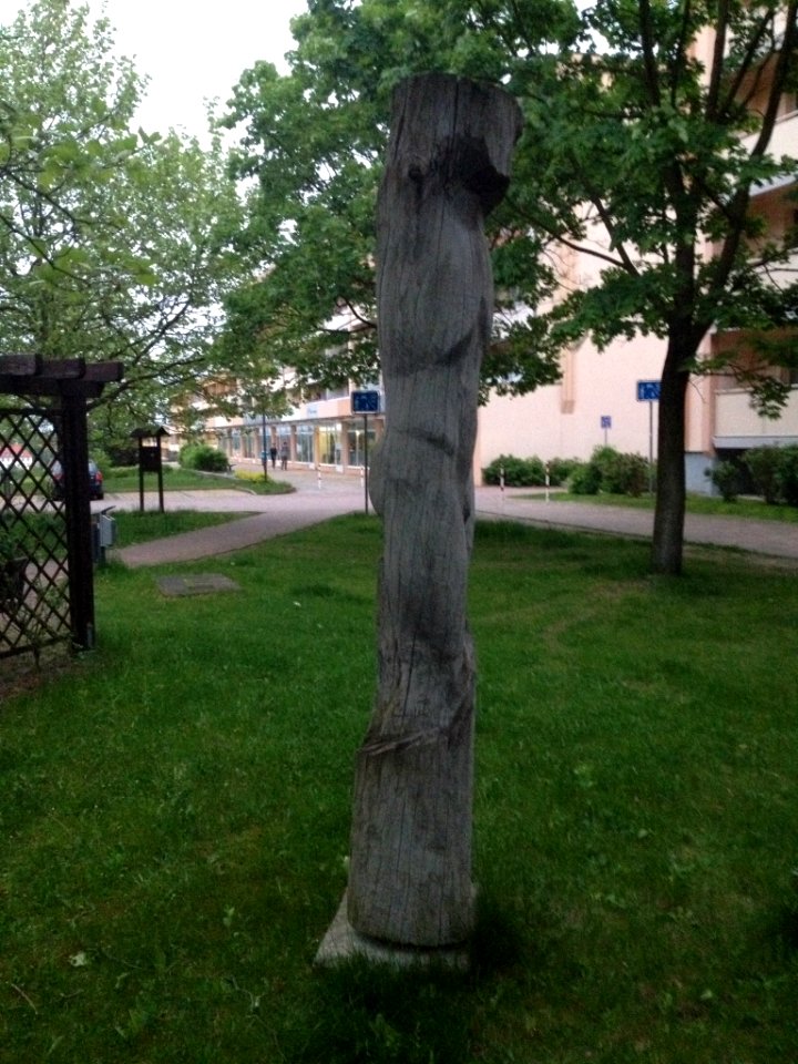 Männlicher Torso Weißwasser Beeskow (1)