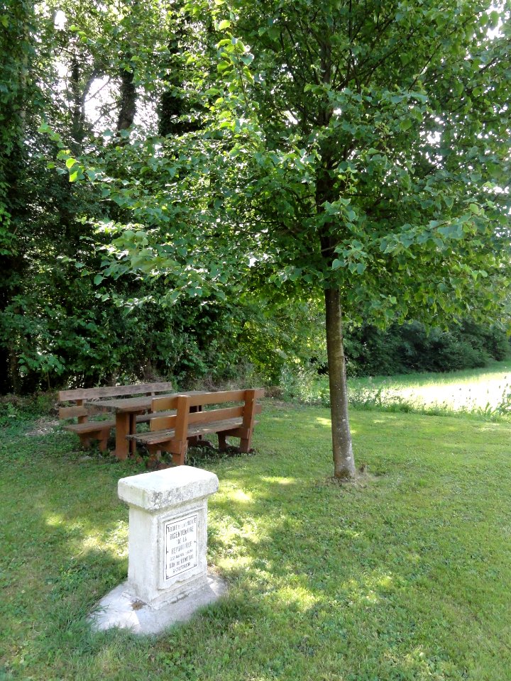 Ménil-aux-Bois (Meuse) arbre de la liberté