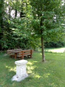 Ménil-aux-Bois (Meuse) arbre de la liberté