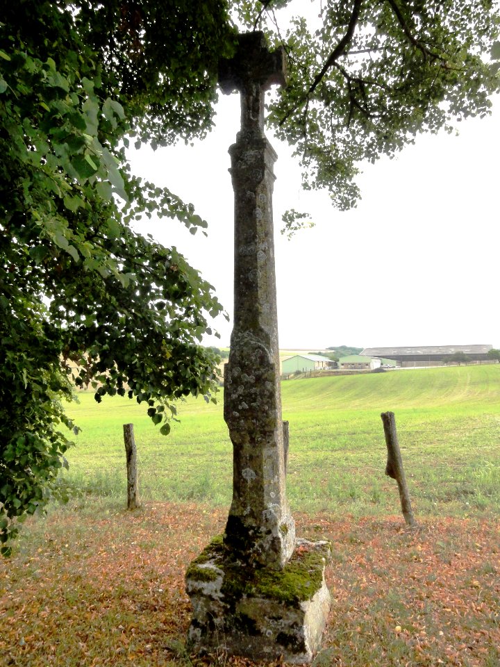 Méligny-le-Petit (Meuse) croix de chemin A