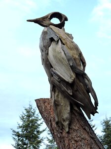 Heron driftwood art photo