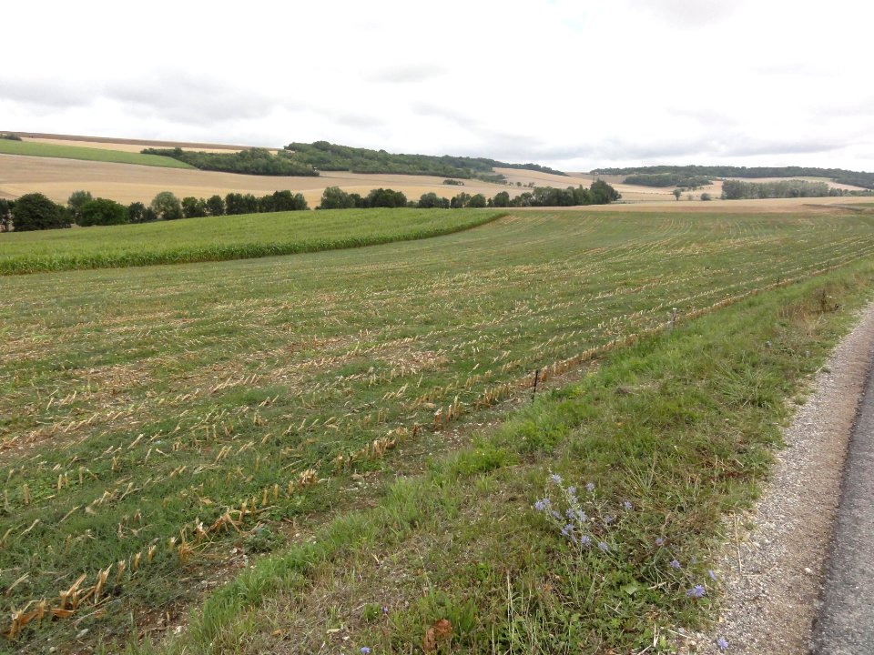 Méligny-le-Grand (Meuse) paysage