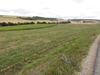 Méligny-le-Grand (Meuse) paysage