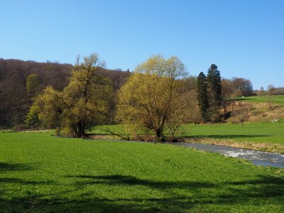 Bach idyllic meadow