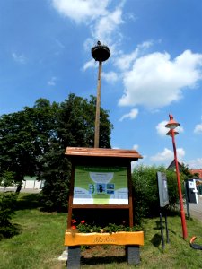 Maßlau Störche 01