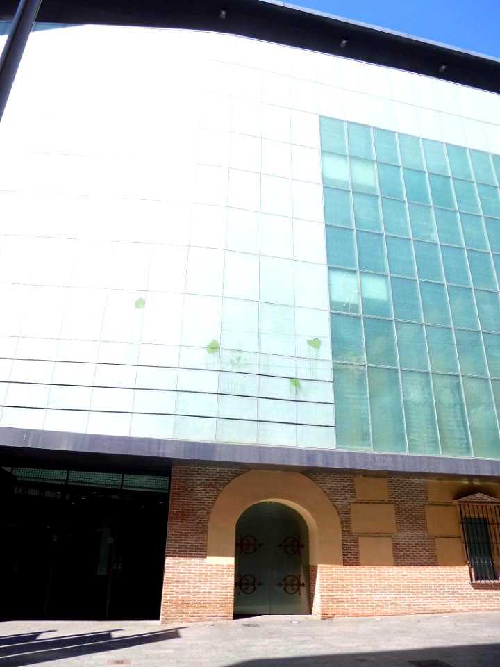Móstoles - Centro de Arte Dos de Mayo (CA2M) 3