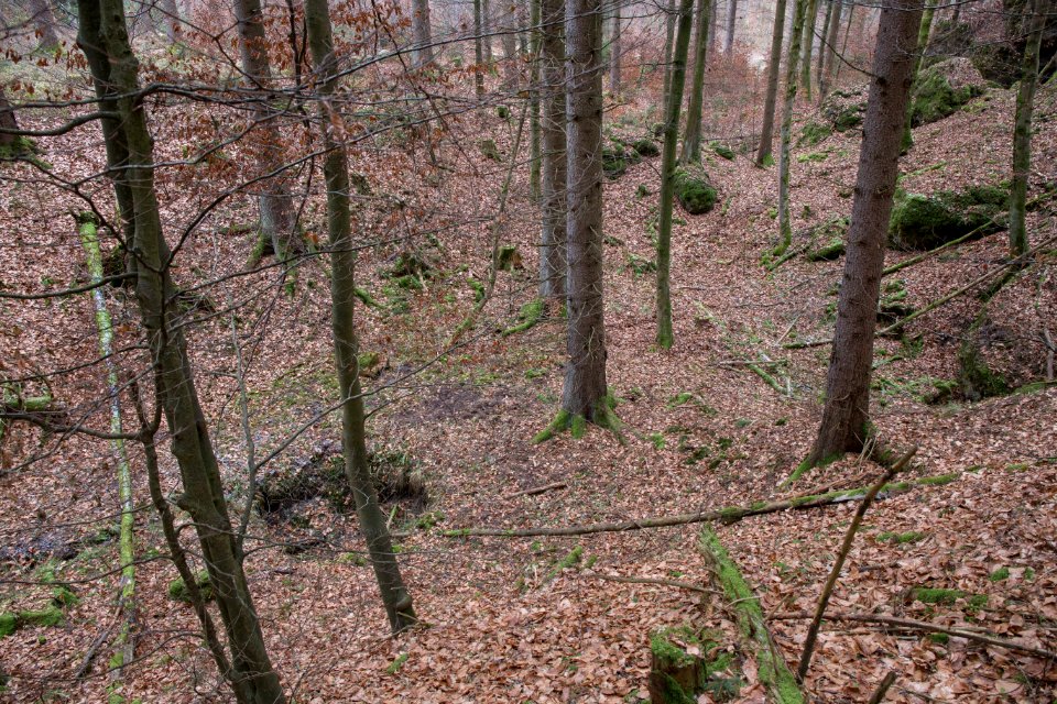 Mühlbühl-Ponor 05