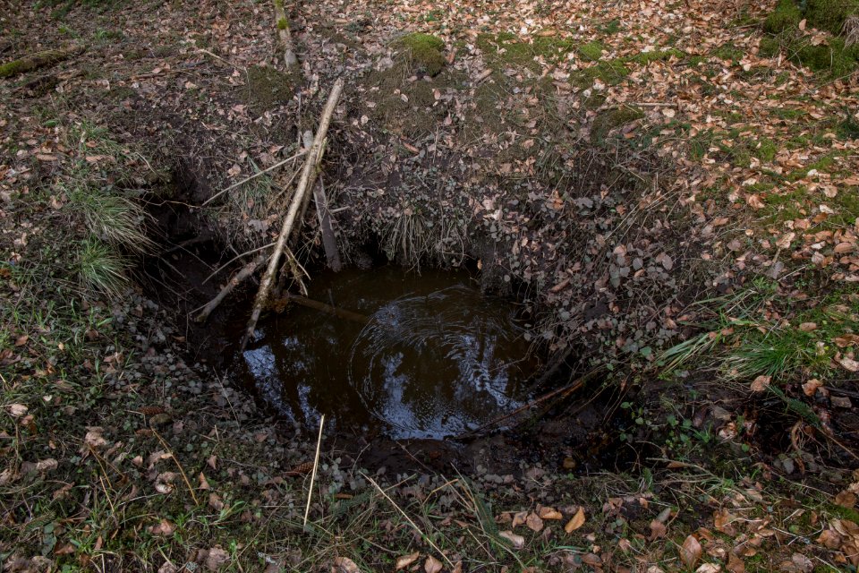 Mühlbühl-Ponor 12