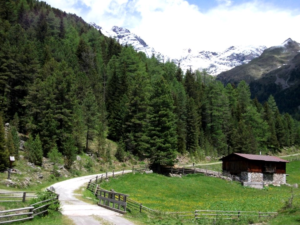 Mühlbacher Tal 3