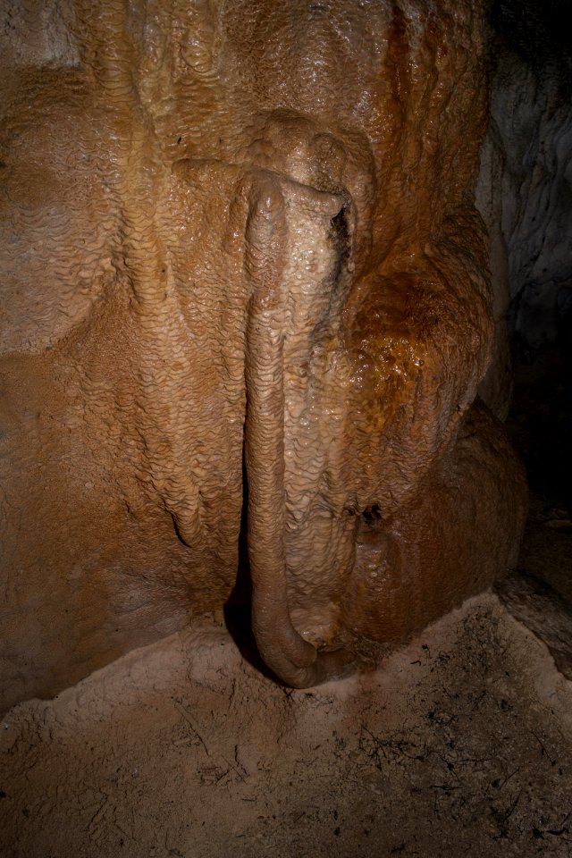 Mäanderhöhle (A 283) 124